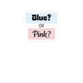 Blue? or Pink? Kiss-Cut Gender Reveal Sticker